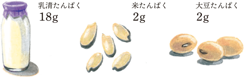 乳清たんぱく18g、米たんぱく2g、大豆たんぱく2g