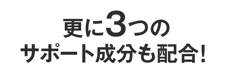 更に3つのサポート成分も配合!