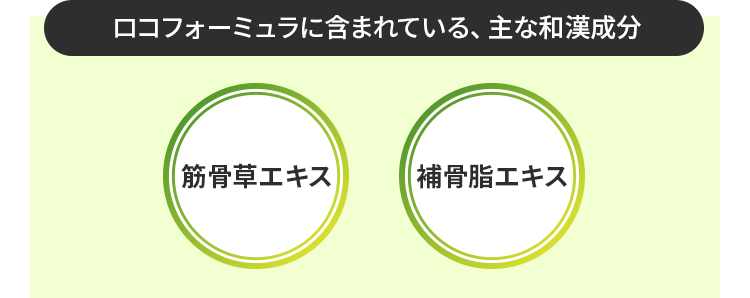ロコフォーミュラに含まれている、主な和漢成分