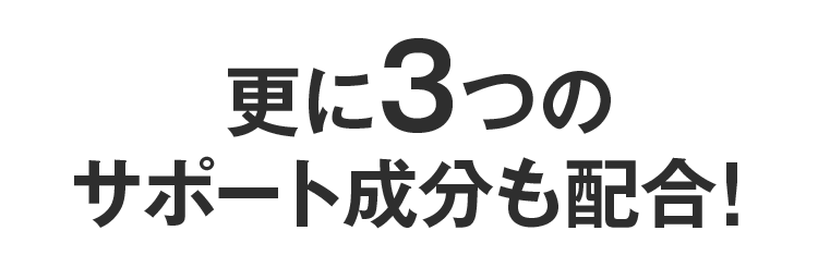 更に3つのサポート成分も配合!