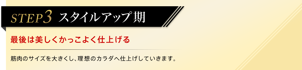 STEP3 スタイルアップ期 最後は美しくかっこよく仕上げる 筋肉のサイズを大きくし、理想のカラダへ仕上げしていきます。