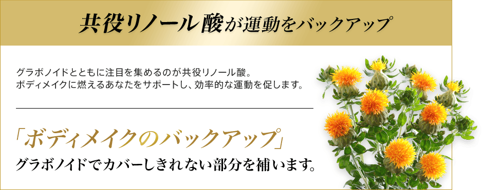 共役リノール酸が運動をバックアップ グラボノイドとともに注目を集めるのが共役リノール酸。ボディメイクに燃えるあなたをサポートし、効率的な運動を促します。「ボディメイクのバックアップ」グラボノイドでカバーしきれない部分を補います。
