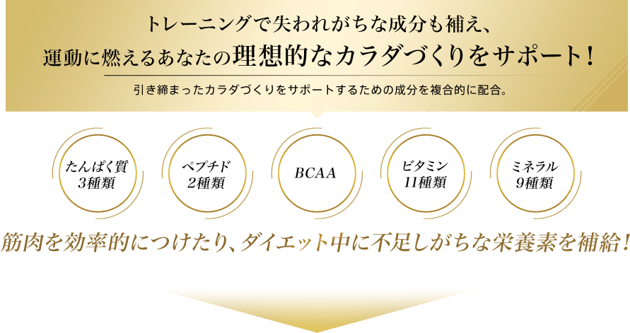 トレーニングで失われがちな成分も補え、運動に燃えるあなたの理想的なカラダづくりをサポート!引き締まったカラダづくりをサポートするための成分を複合的に配合。たんぱく質3種類 ペプチド2種類 BCAA ビタミン11種類 ミネラル9種類 筋肉を効率的につけたり、ダイエット中に不足しがちな栄養素を補給!