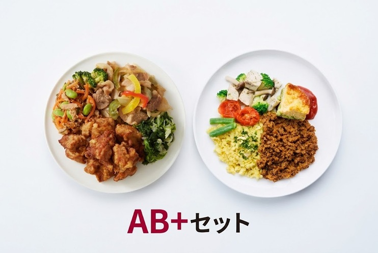 <定期>サポートミール2週間セットAB+