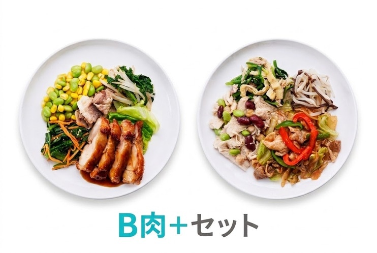 <定期>サポートミール2週間セットB肉+