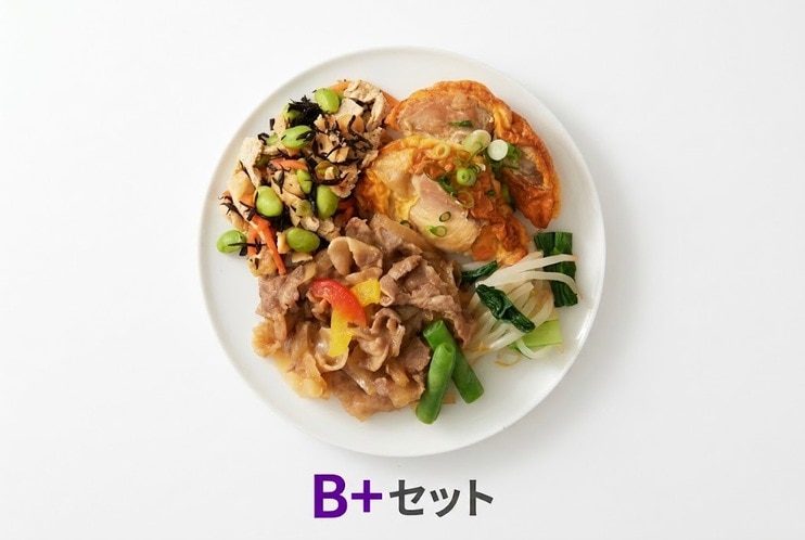 サポートミール1週間セットB+