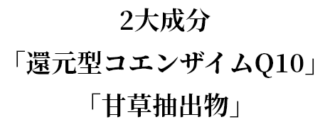 COMMIT WITH BURN+ | サプリメント | ライザップ公式通販 RIZAP 