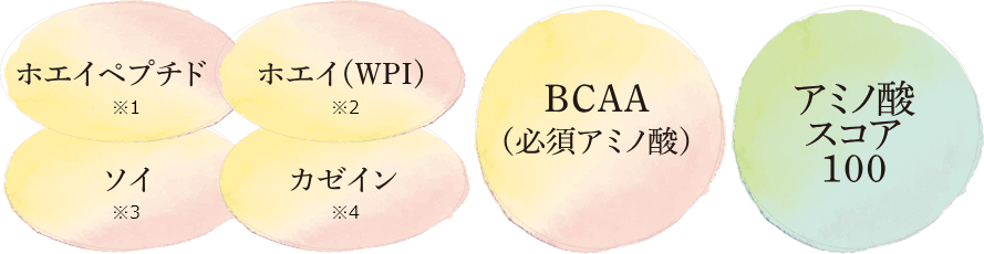 ホエイペプチド、ホエイ〈WPI〉、ソイ、カゼイン、BCAA、アミノ酸スコア100