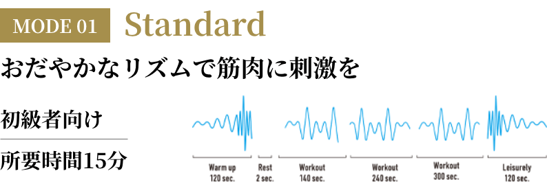 MODE1 Standard ₩ȃYŋؓɎh Ҍ v15
