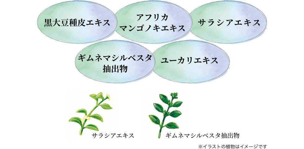 黒大豆種皮エキス アフリカマンゴノキエキス サラシアエキス ギムネマシルベスタ抽出物 ユーカリエキス ※イラストの植物はイメージです。