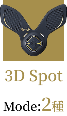 3D Spot Mode:2種