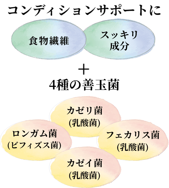 コンディションサポートに 食物繊維・ビタミンB群・ビタミンC+3種の善玉菌 ビフィズス菌(善玉菌)・ガゼリ菌(乳酸菌)・フェカリス菌(乳酸菌)