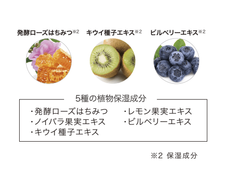 角質層にハリとうるおいを