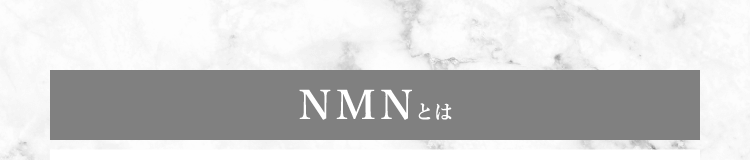 NMNとは